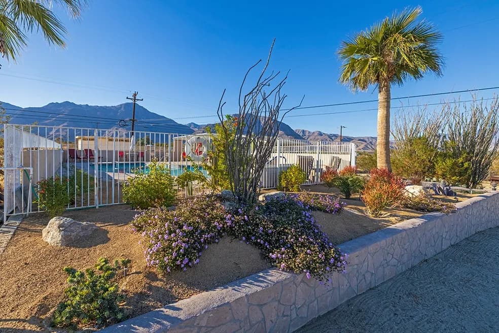 Motel pool garden with purple flowering shrubs, ocotillo, and a palm tree; white-fenced pool and desert mountains behind under clear blue sky