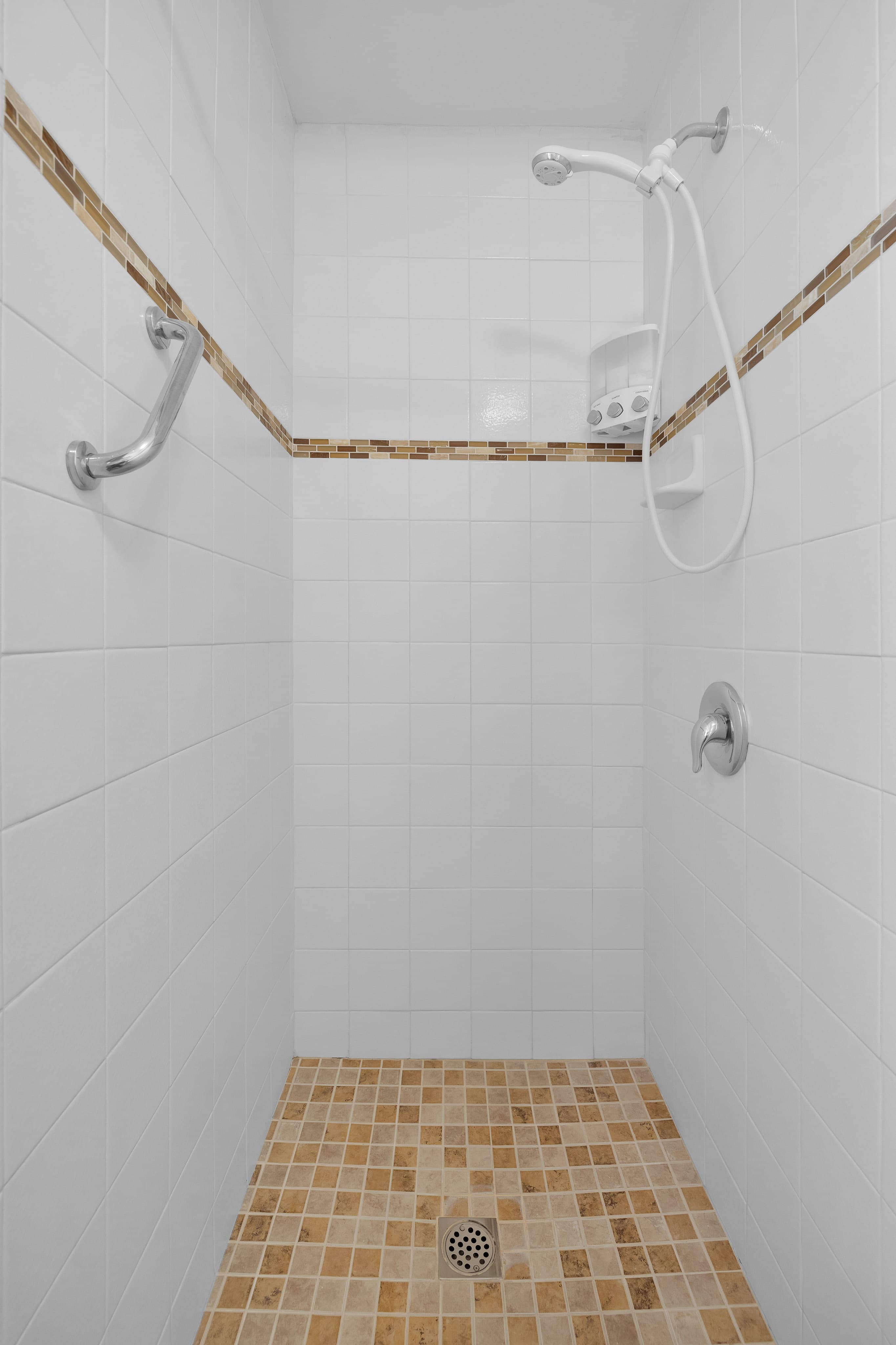 Walk-in shower with grab bar