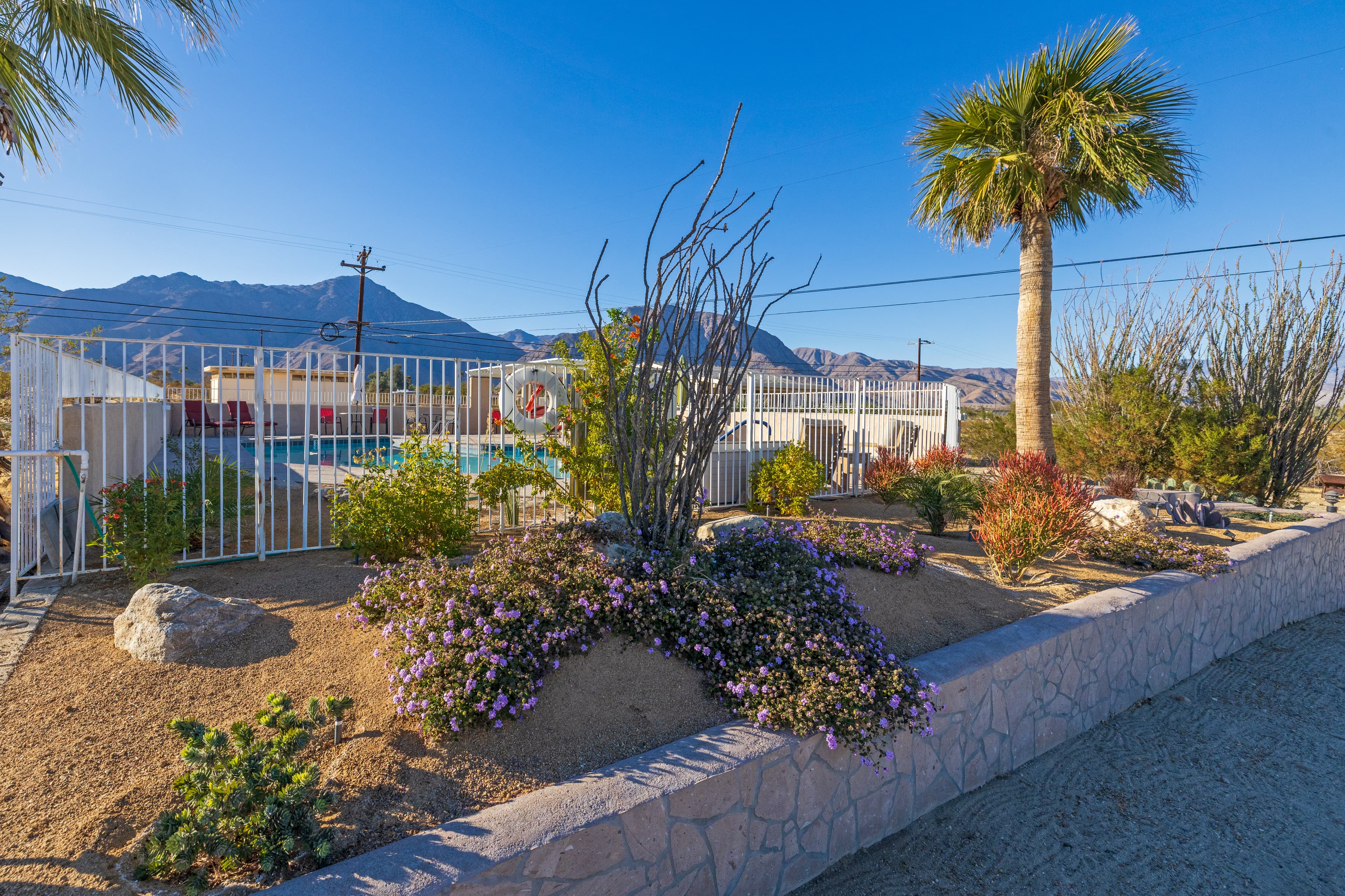 Pool garden
